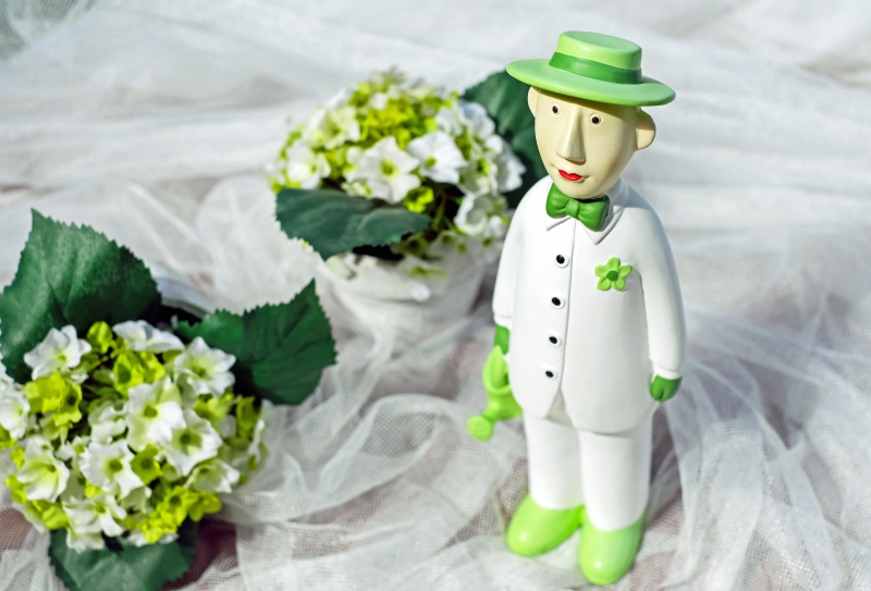 vente-SERANON-min_man-person-flower-green-toy-fig-546529-pxhere.com